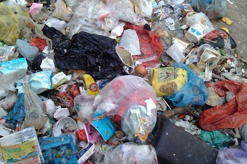 生活垃圾清运方案 瑞俊环保 在线咨询 生活垃圾清运